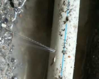 白云鄂博卫生间测漏水多少钱